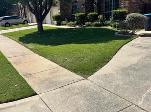Nate R.'s grass cutting service result