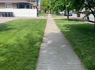 Linda R.'s lawn care services service result