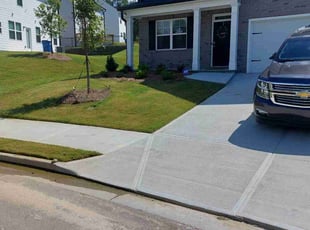 Mariell H.'s lawn care service result