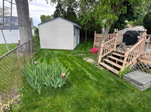 Vincent W.'s grass cutting service result