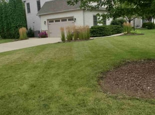Carol N.'s lawn care service result