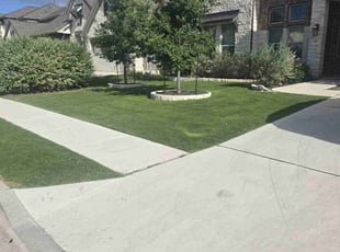 Alexia L.'s grass maintenance service result