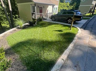 Carson W.'s lawn care service result