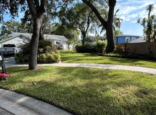 Joe R.'s turf care service result