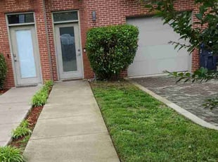 Jeff S.'s Bush Trimming service result