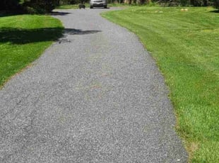 Tanya R.'s lawn maintenance service result