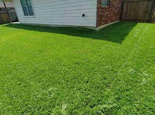 Tom H.'s lawn care services service result