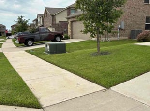 Rosam W.'s lawn care services service result