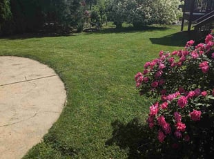 Anita R.'s lawn care service result
