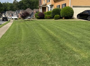 Lindsey P.'s residential landscaping service result