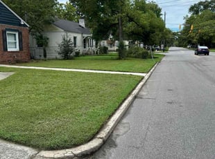 Andrea A.'s turf care service result