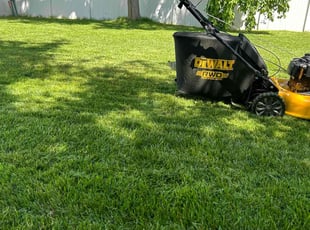 Sarahai C.'s grass maintenance service result