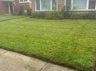 Agustin R.'s lawn maintenance service result