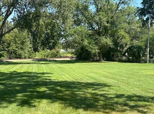 KAREN P.'s turf maintenance service result