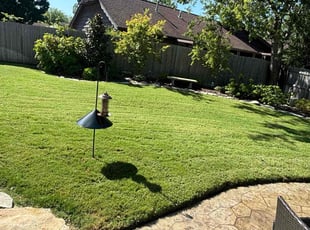 Eric M.'s grass maintenance service result
