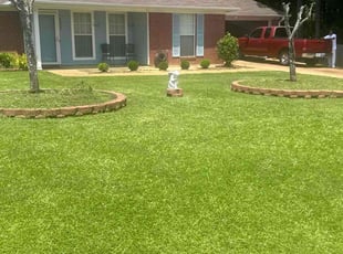 Charles P.'s yard service service result