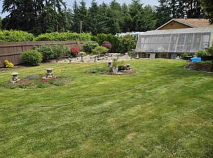 Christine S.'s lawn care service result