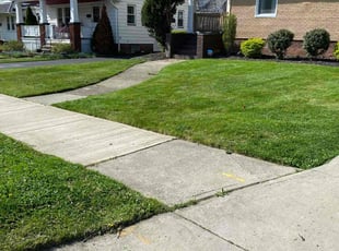 Matilda O.'s lawn care service result