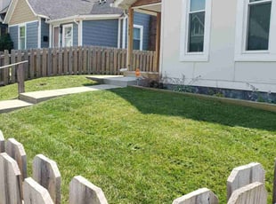 Jeanne F.'s lawn care service result