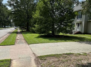 Clarence T.'s lawn service service result