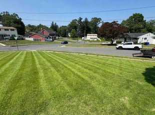 Lucinda L.'s lawn maintenance service result