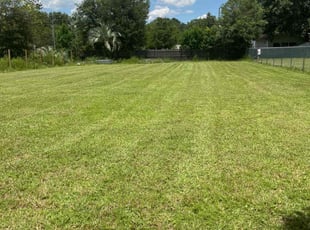 Eric D.'s lawn care service result