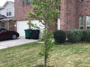 Monet M.'s Bush Trimming service result