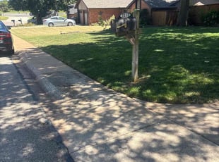 Shaqurah Z.'s turf care service result