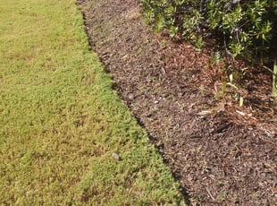 Melissa D.'s Flower Bed Weeding service result