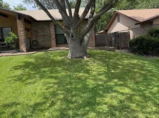 Michael N.'s grass maintenance service result