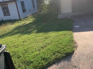 Tiberius M.'s grass maintenance service result