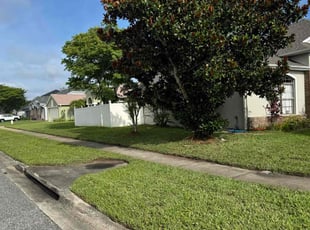 Debora M.'s grass maintenance service result