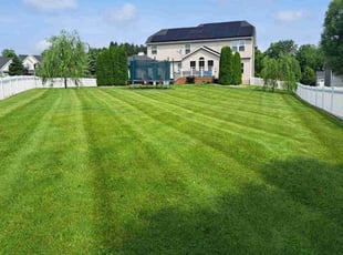 Marjorie N.'s grass maintenance service result