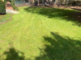 Cameron F.'s lawn service service result