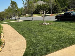 Kenny B.'s lawn care services service result