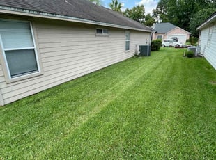 Kathi D.'s lawn care services service result