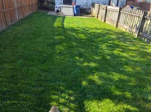 Mike P.'s lawn maintenance service result