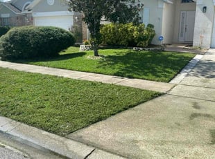 Cheryl L.'s grass maintenance service result