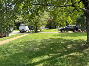 Chris R.'s lawn maintenance service result