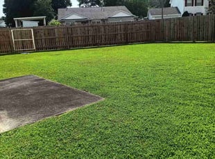 Victoria S.'s turf maintenance service result