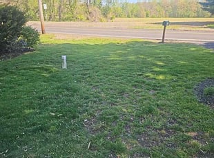 Susy B.'s lawn maintenance service result
