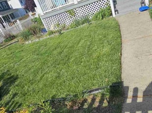 Brooks J.'s lawn service service result