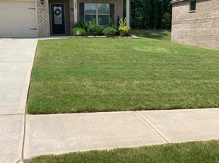 Renee N.'s grass cutting service result
