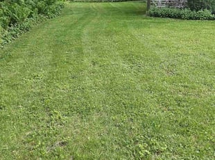 James D.'s residential landscaping service result