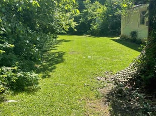 Kathy B.'s grass maintenance service result