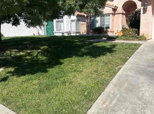 Tammy C.'s lawn care service result