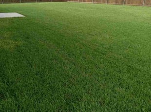 Jaime G.'s lawn service service result