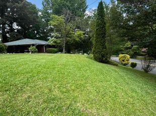 Shelly G.'s yard care service result