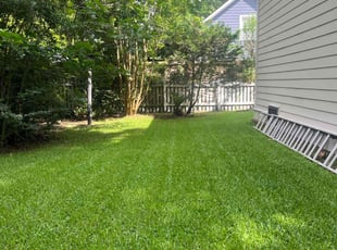Daniel F.'s lawn care services service result