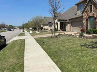 Carrie D.'s turf care service result